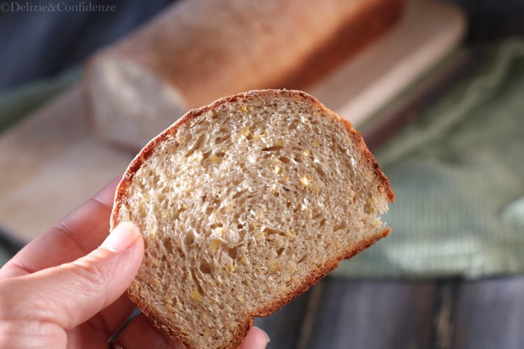 Pane Salus con noi  Pane Funzionale Salus - Ricette con farine